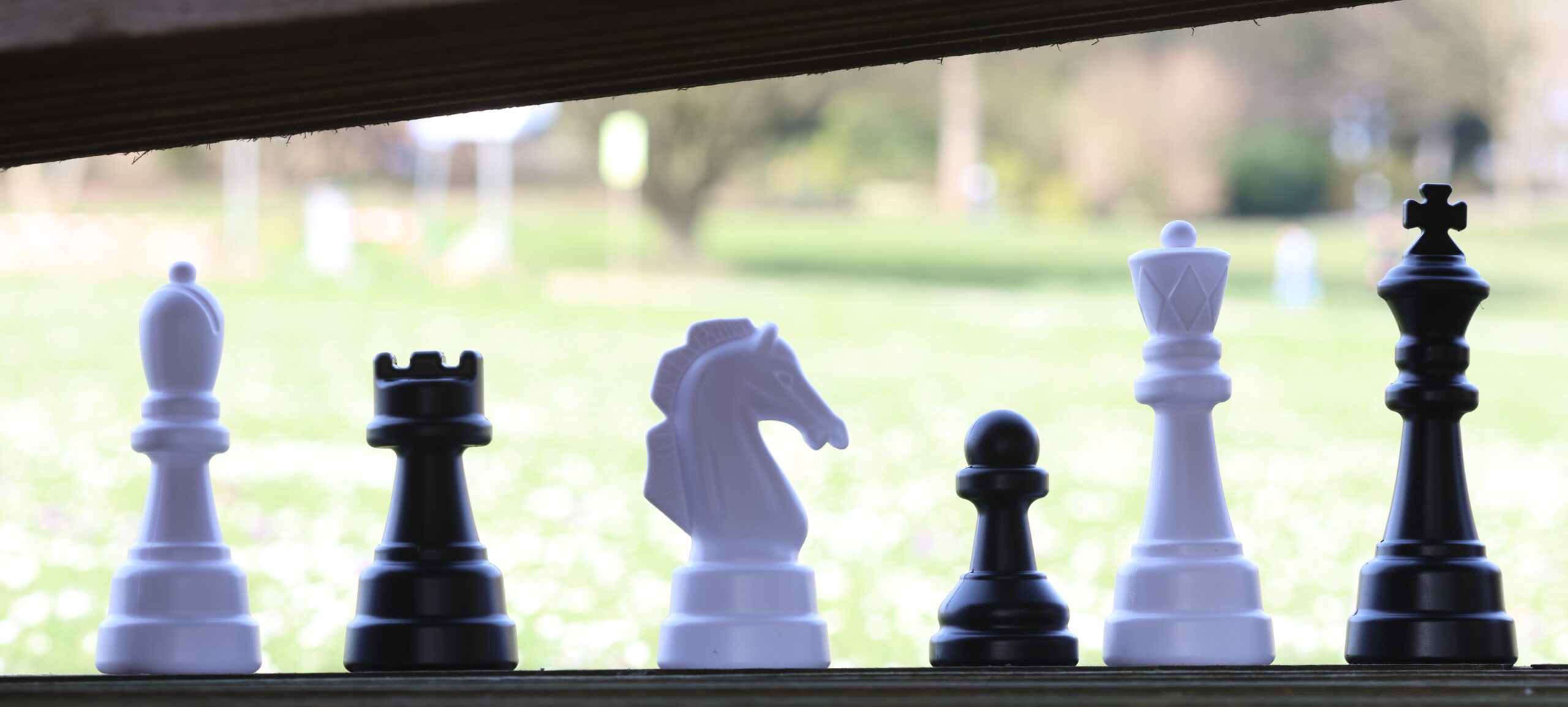 Neue Kompaktkurse ab Mai: Next Level – Mission Schachmatt